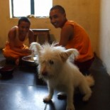 DSCF2936-300x225-155x155