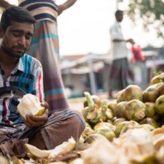 the palm seller has reached the market palmyra palm