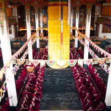 【デプン・ゴマン学堂】サカダワ大祭 学堂僧衆特別献茶供養料（朝会）