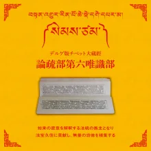 大蔵経論疏部第六唯識部 16帙