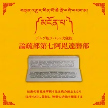 大蔵経論疏部第七阿毘達磨部 11帙
